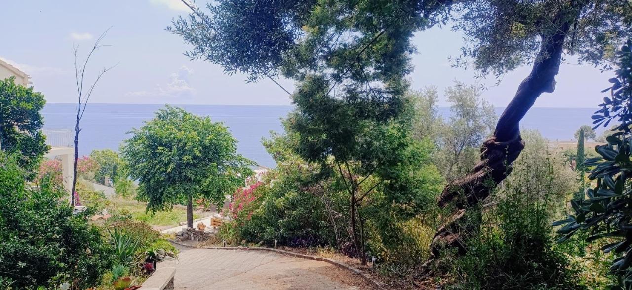 Villa Magnolia Santa-Maria-di-Lota Eksteriør bilde